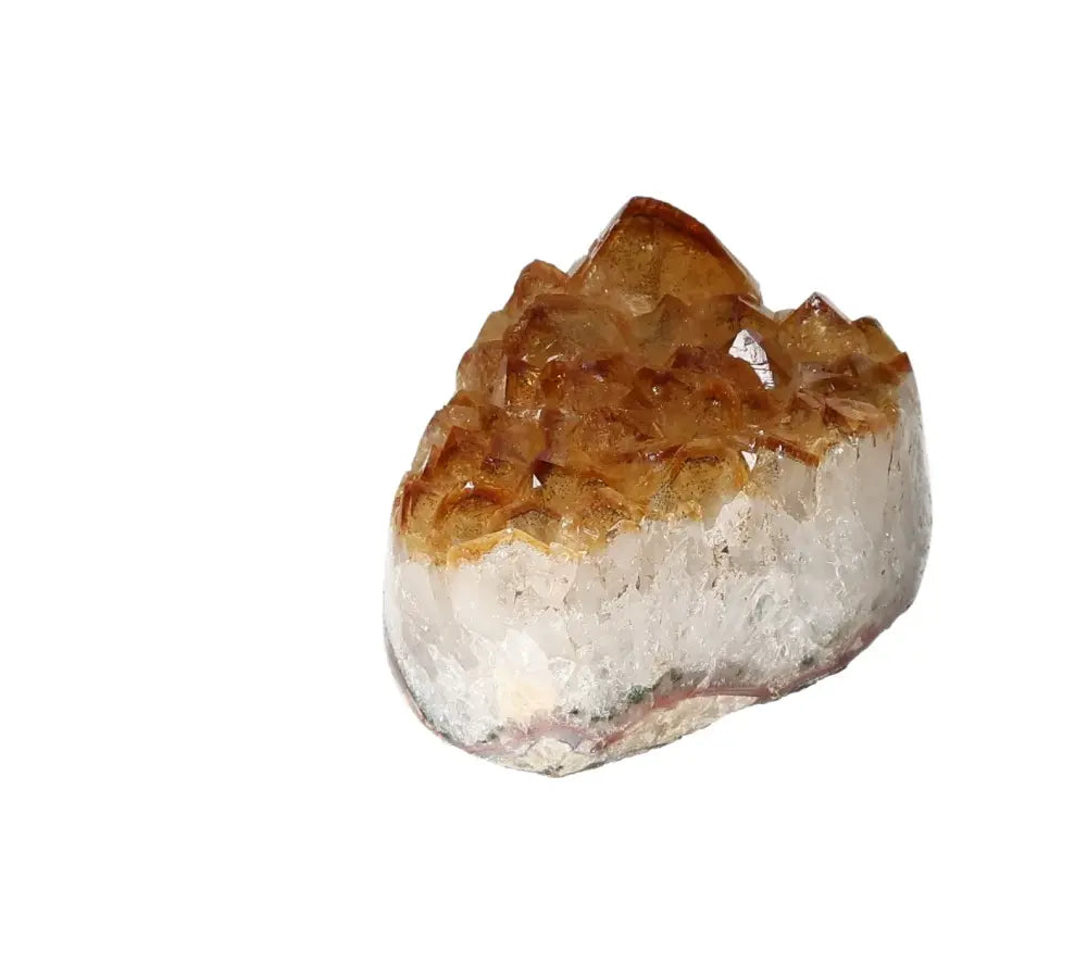 orbitvu|type:image2d