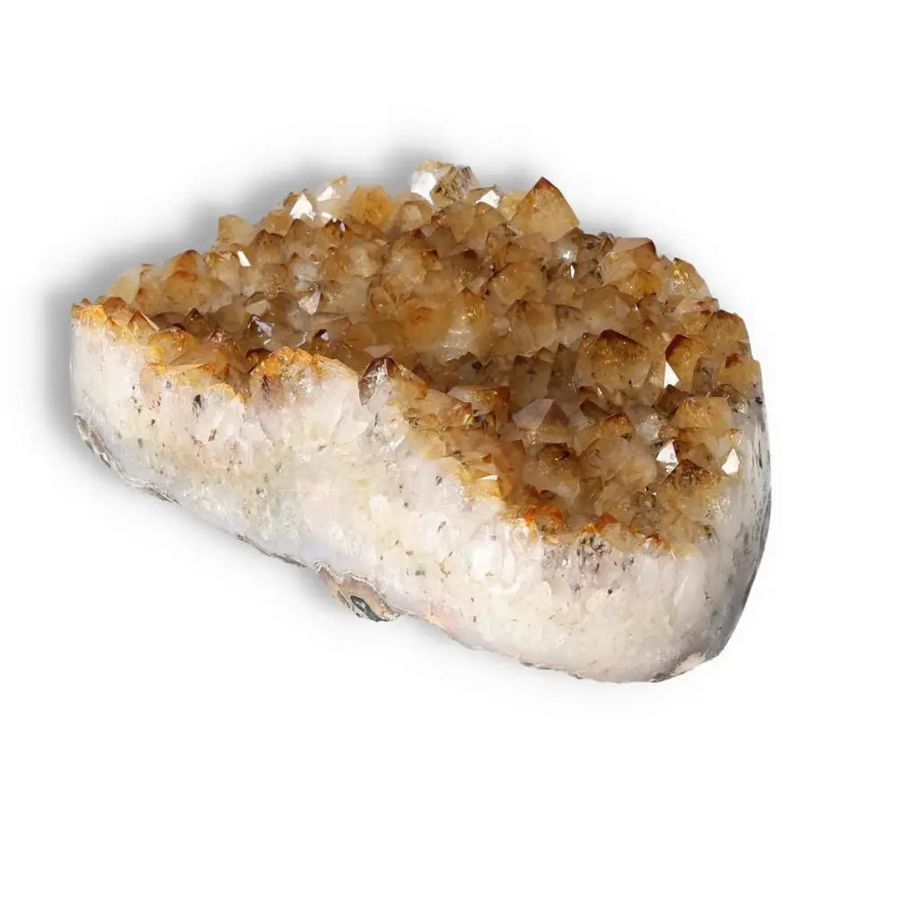 Citrine druze gemstone from Sylvia Crystals, showcasing vibrant energy and sparkling yellow crystals on a white base.