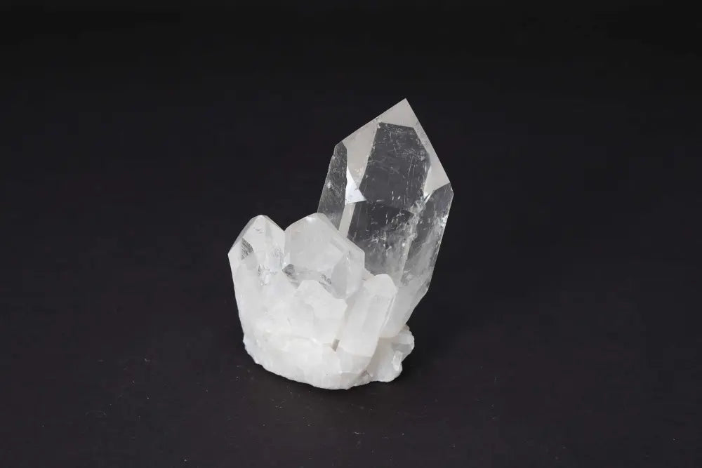 Clear quartz cluster with multiple crystal points on a dark background, radiating clarity and high vibrational energy.