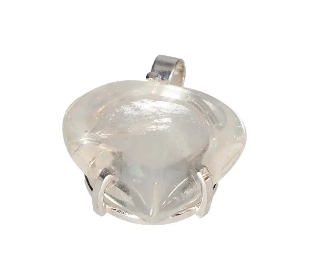 orbitvu|type:image2d