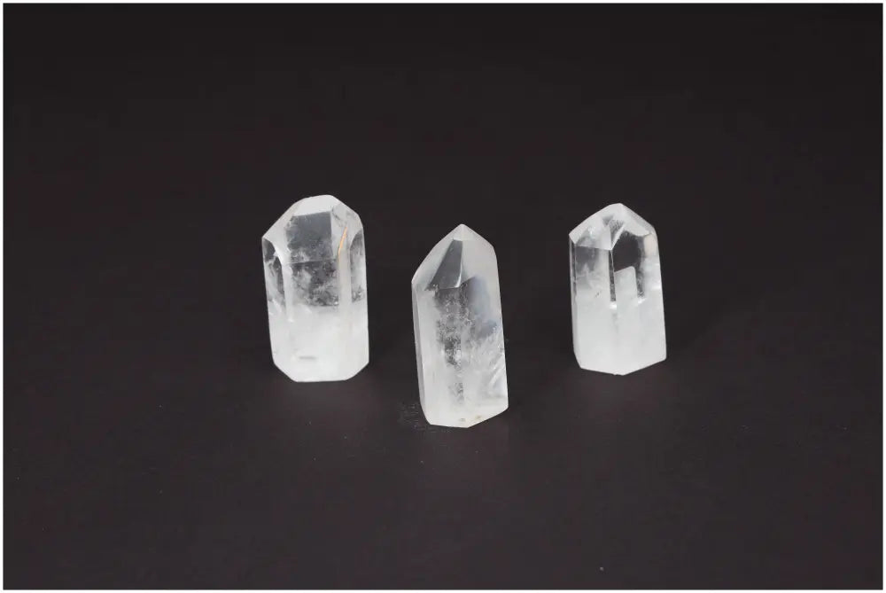 orbitvu|type:image2d