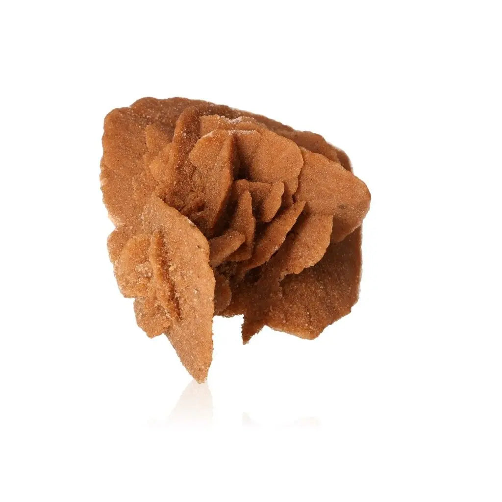 Natural Desert Rose crystal formation from Morocco by Sylvia Crystals, showcasing unique sand-sculpted beauty.