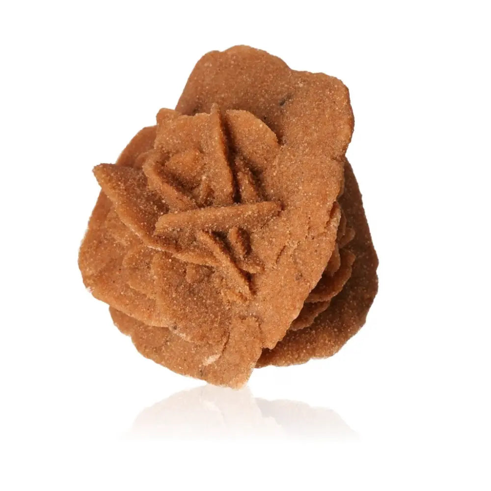 Ethically sourced Moroccan Desert Rose by Sylvia Crystals showcasing intricate gypsum formation.