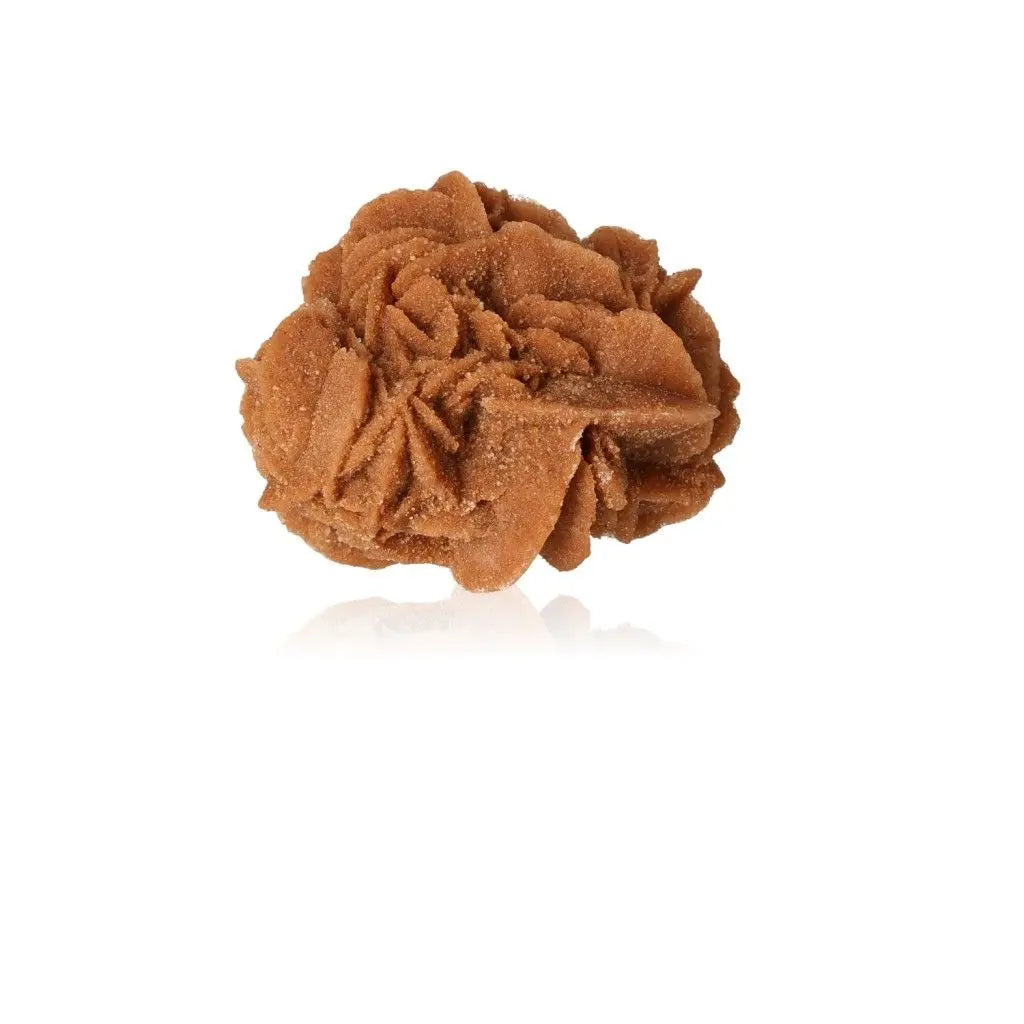 Desert Rose gypsum crystal from Morocco by Sylvia Crystals, showcasing its unique, sculptural beauty.