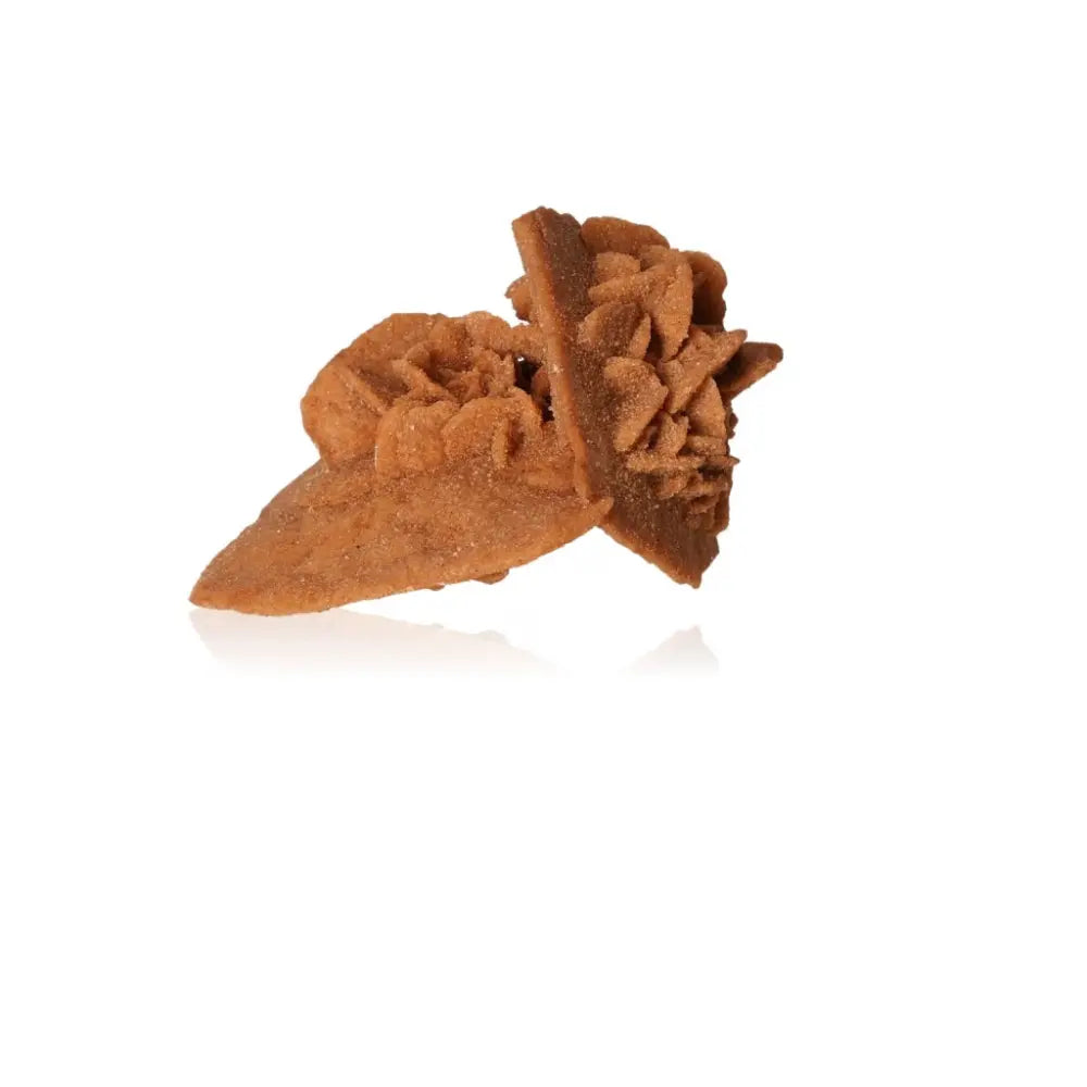 Desert Rose crystal formation, ethically sourced from Morocco by Sylvia Crystals, showcasing unique gypsum and barite structure.