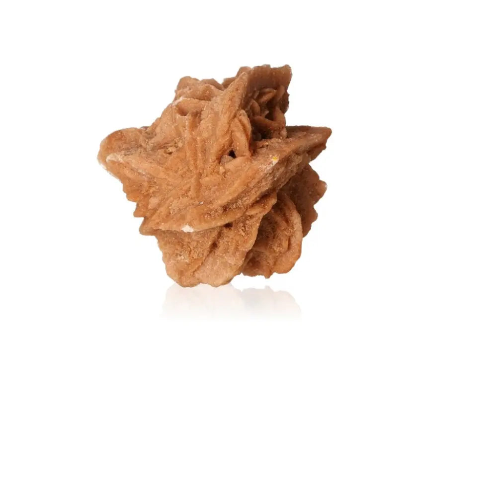 Desert Rose crystal by Sylvia Crystals, ethically sourced from Morocco, showcasing natural sculptural beauty of gypsum and barite.