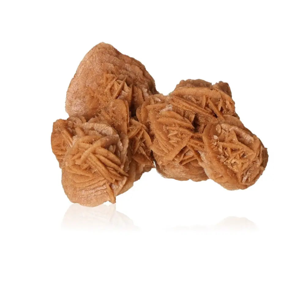 Desert Rose crystal ethically sourced from Morocco by Sylvia Crystals, showcasing nature’s sculptural beauty.