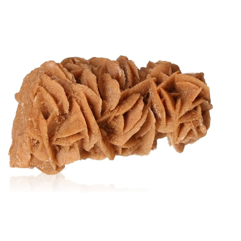 Desert Rose crystal formation from Sylvia Crystals, ethically sourced in Morocco, showcasing intricate gypsum and barite patterns.