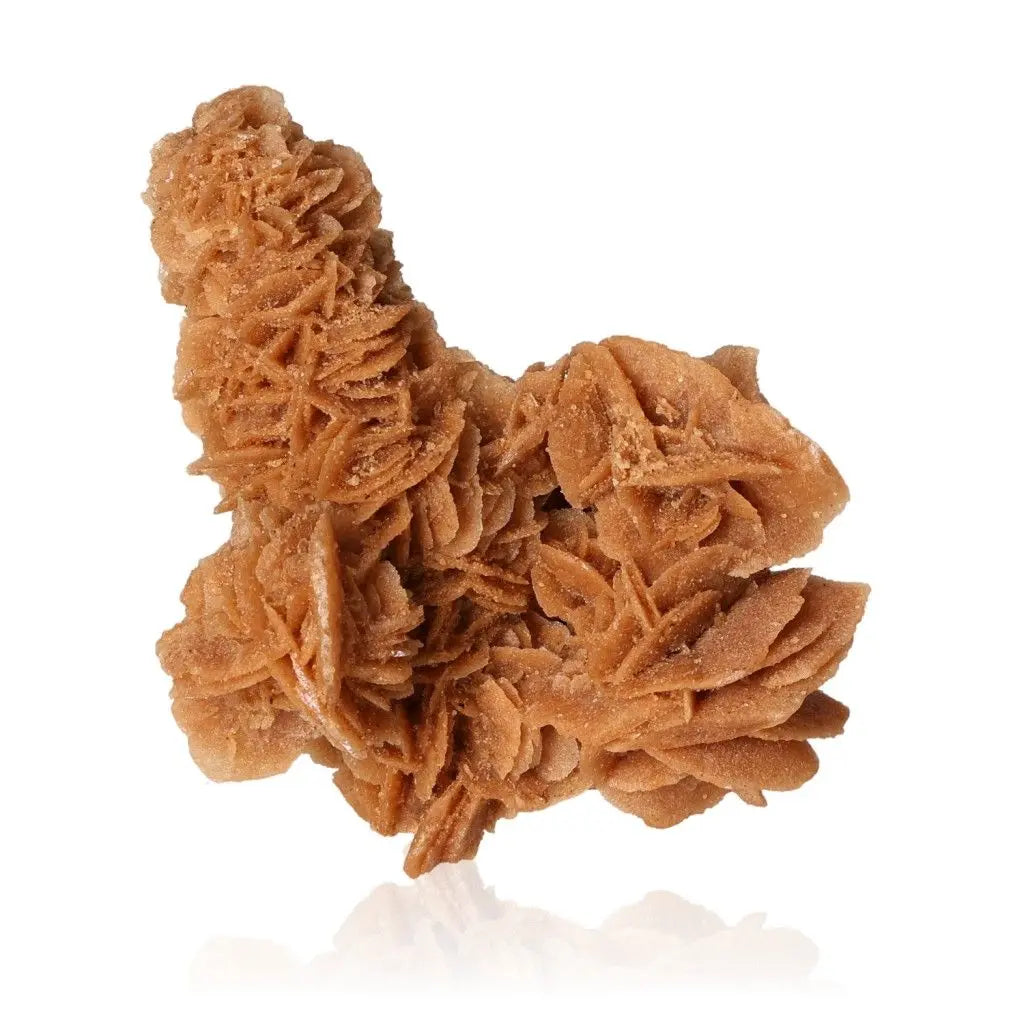 Desert Rose crystal from Sylvia Crystals, ethically sourced from Morocco, showcasing unique gypsum and barite formations.