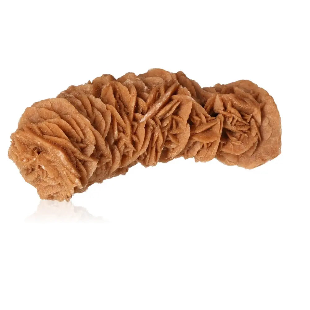 Desert Rose gypsum formation from Morocco by Sylvia Crystals, showcasing unique natural sculptural beauty and ethical sourcing.