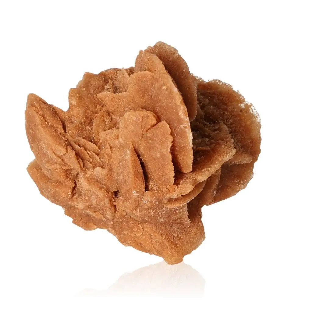 Desert Rose mineral formation by Sylvia Crystals, ethically sourced from Morocco, showcasing natural sculptural beauty in gypsum and barite.