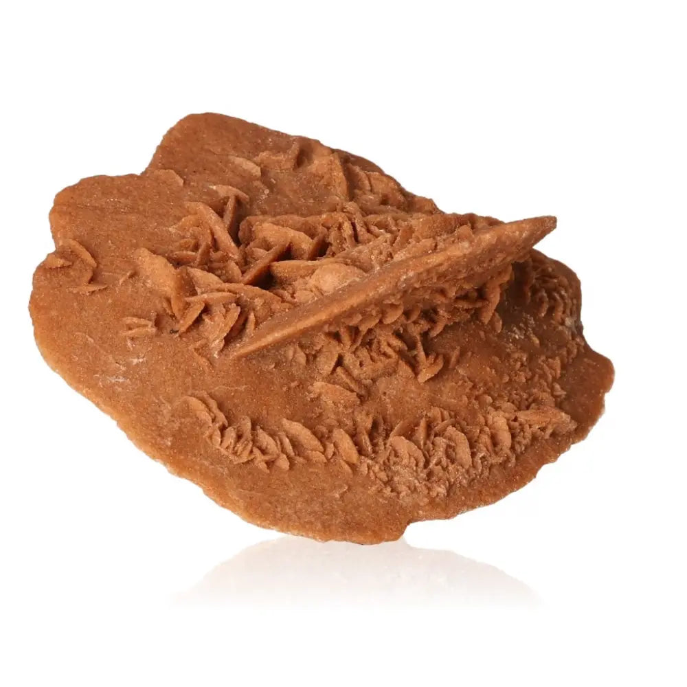 Desert Rose crystal by Sylvia Crystals, ethically sourced natural gypsum and barite formation from Morocco, showcasing unique elegance.