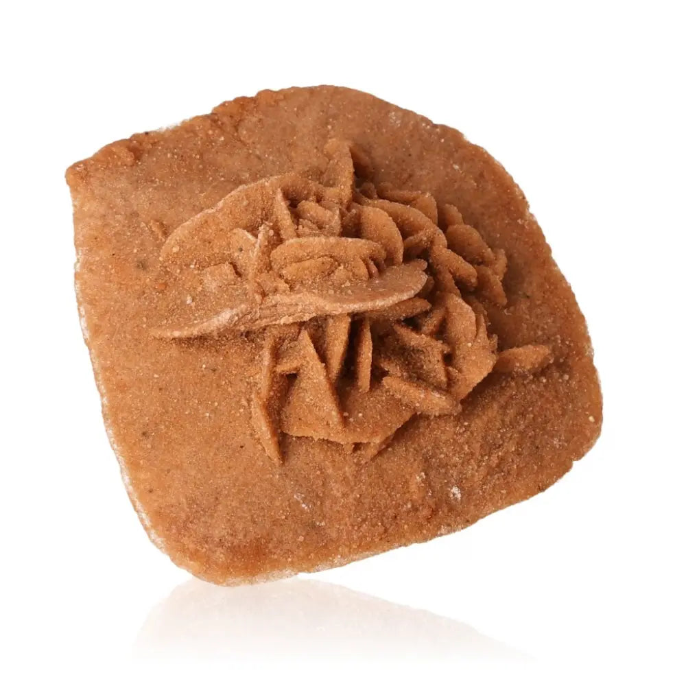 Desert Rose crystal formation, sculpted by Moroccan sands, ethically sourced by Sylvia Crystals, showcasing natural gypsum beauty.