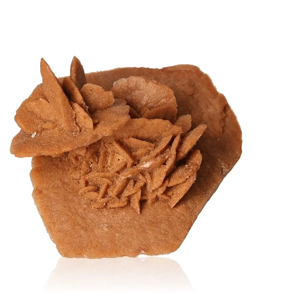 Desert Rose crystal by Sylvia Crystals, ethically sourced gypsum and barite from Morocco, showcasing nature's unique sculptural beauty.