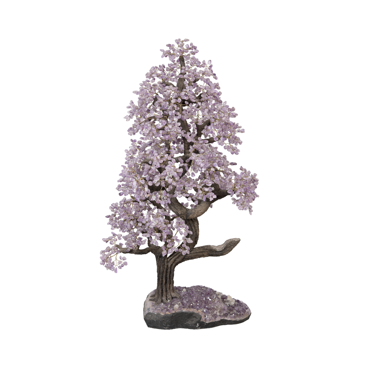 20000084_PC_1