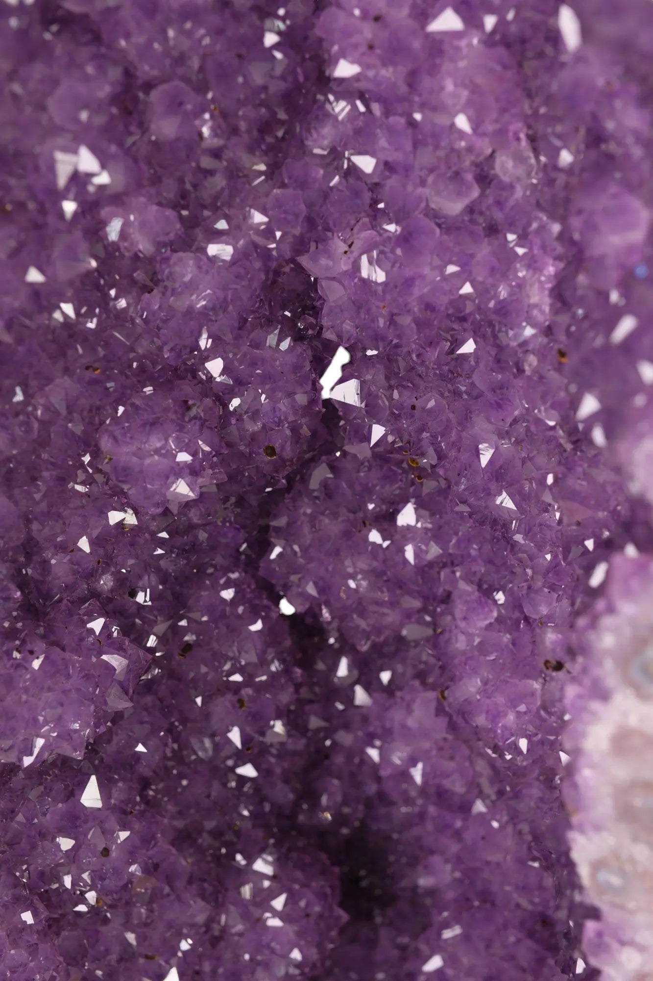 Extra Large Polished Amethyst Druze Cluster Sylvia Crystals Sp. z o.o.