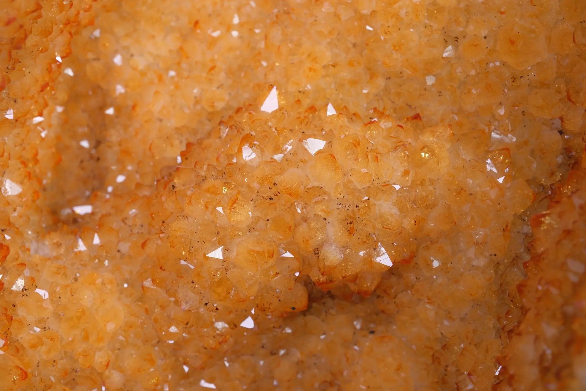 Citrine Geode Sylvia Crystals Sp. z o.o.