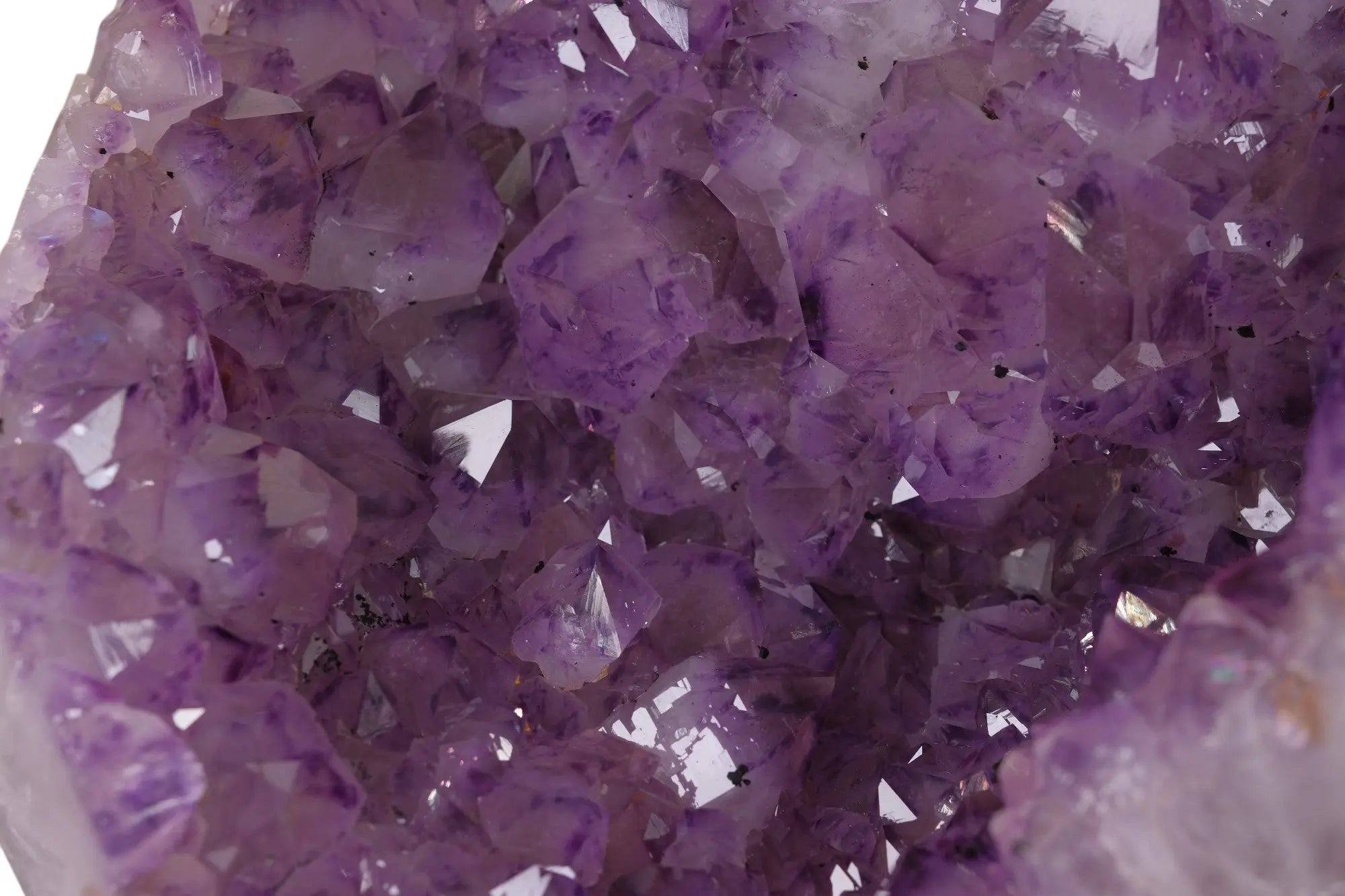 Extra Large Polished Amethyst Druze Cluster Sylvia Crystals Sp. z o.o.