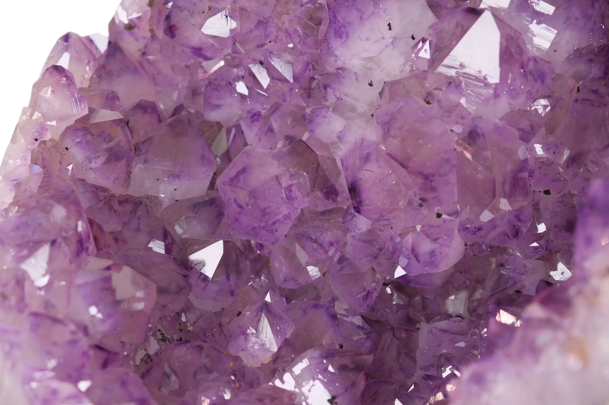 Extra Large Polished Amethyst Druze Cluster Sylvia Crystals Sp. z o.o.