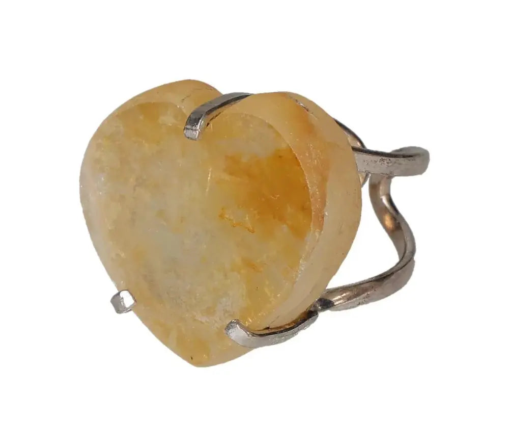 orbitvu|type:image2d