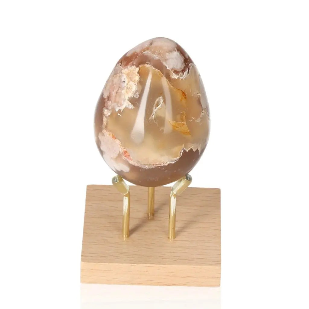Flower Agate Egg on stand, showcasing blossom-like patterns for growth and healing energy
