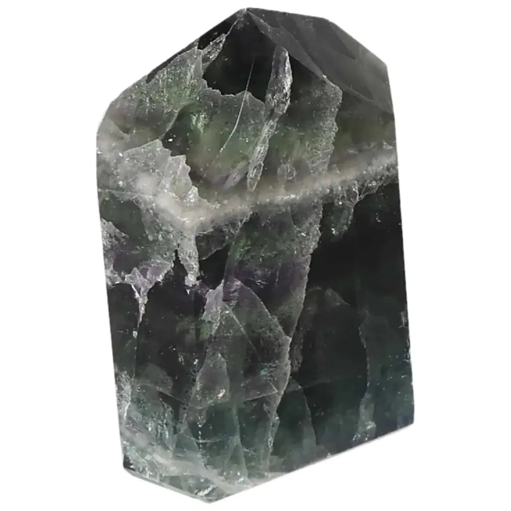 orbitvu|type:image2d