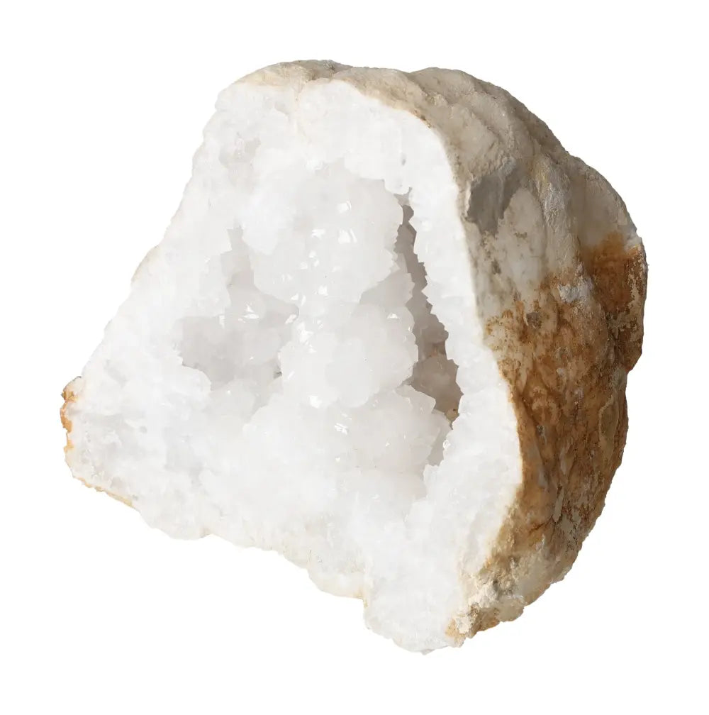 orbitvu|type:image2d