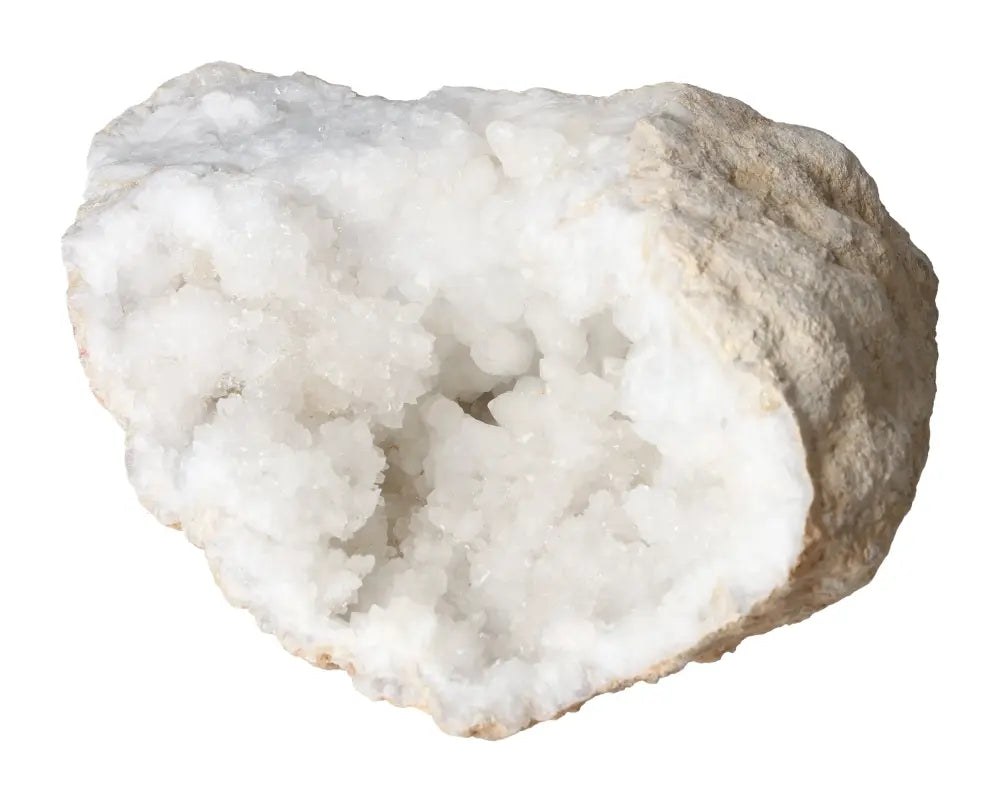 orbitvu|type:image2d