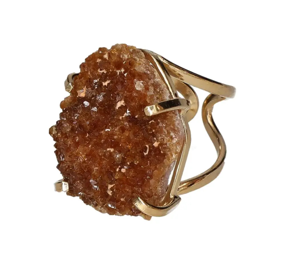 orbitvu|type:image2d