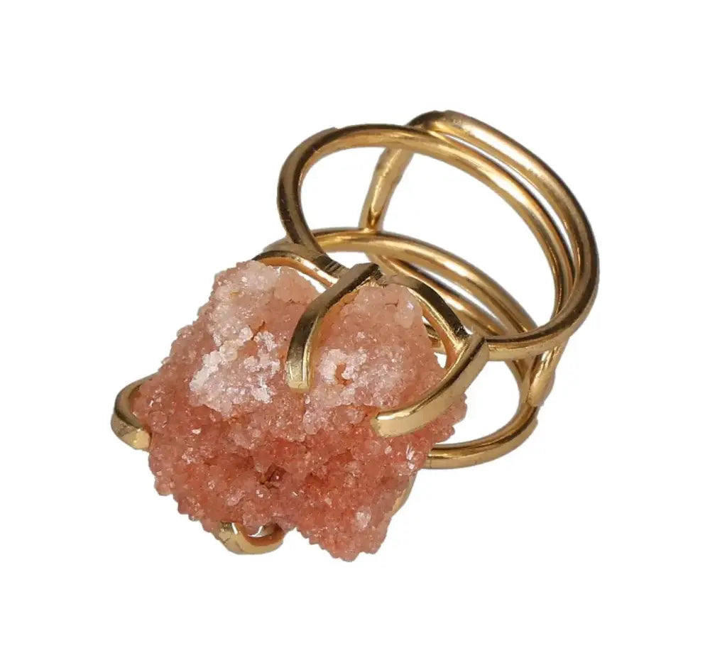 orbitvu|type:image2d