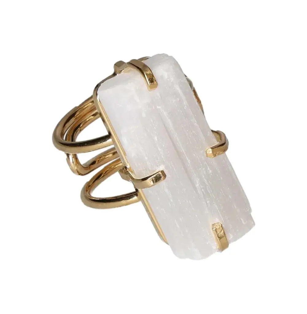 orbitvu|type:image2d