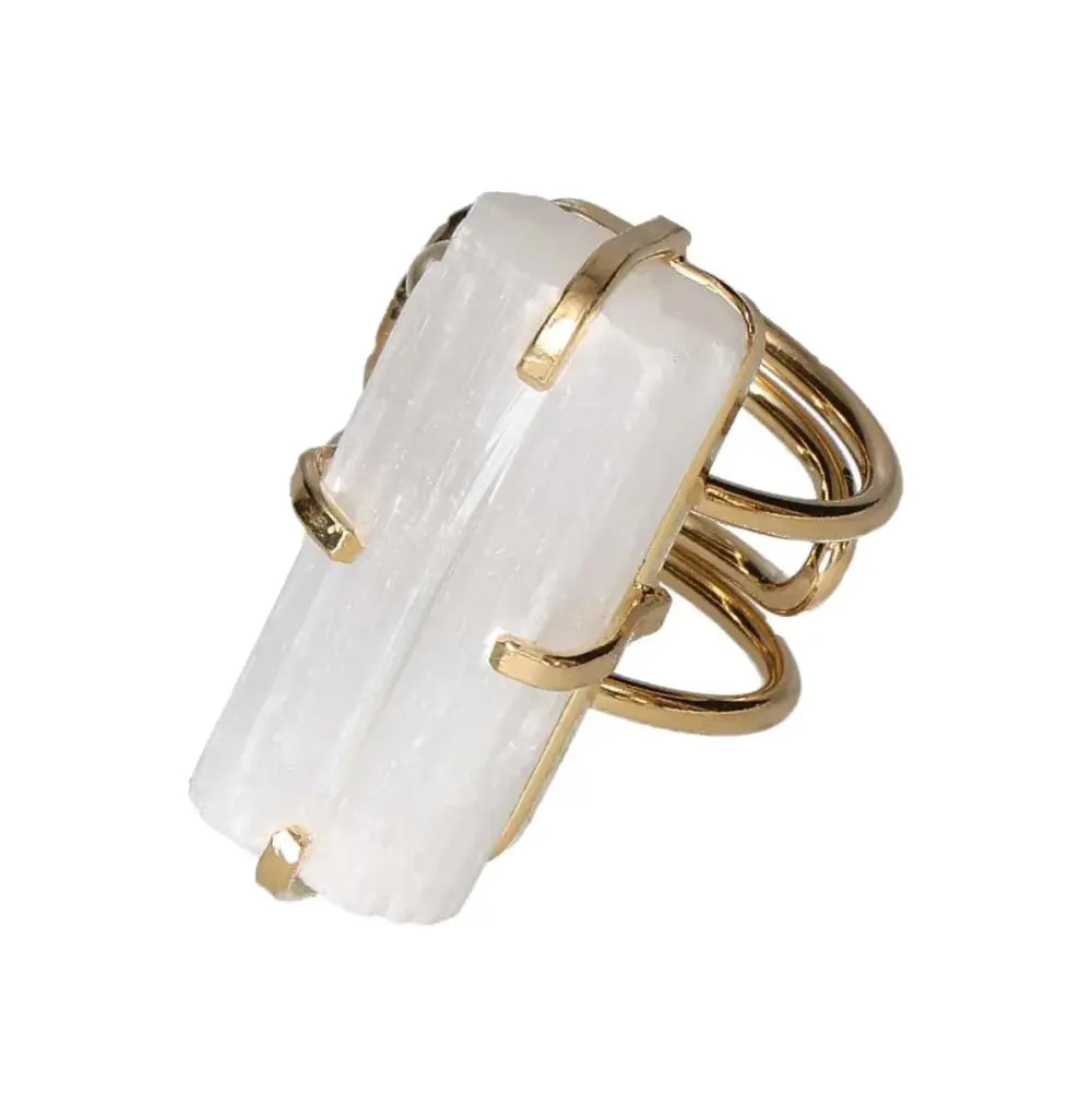 orbitvu|type:image2d