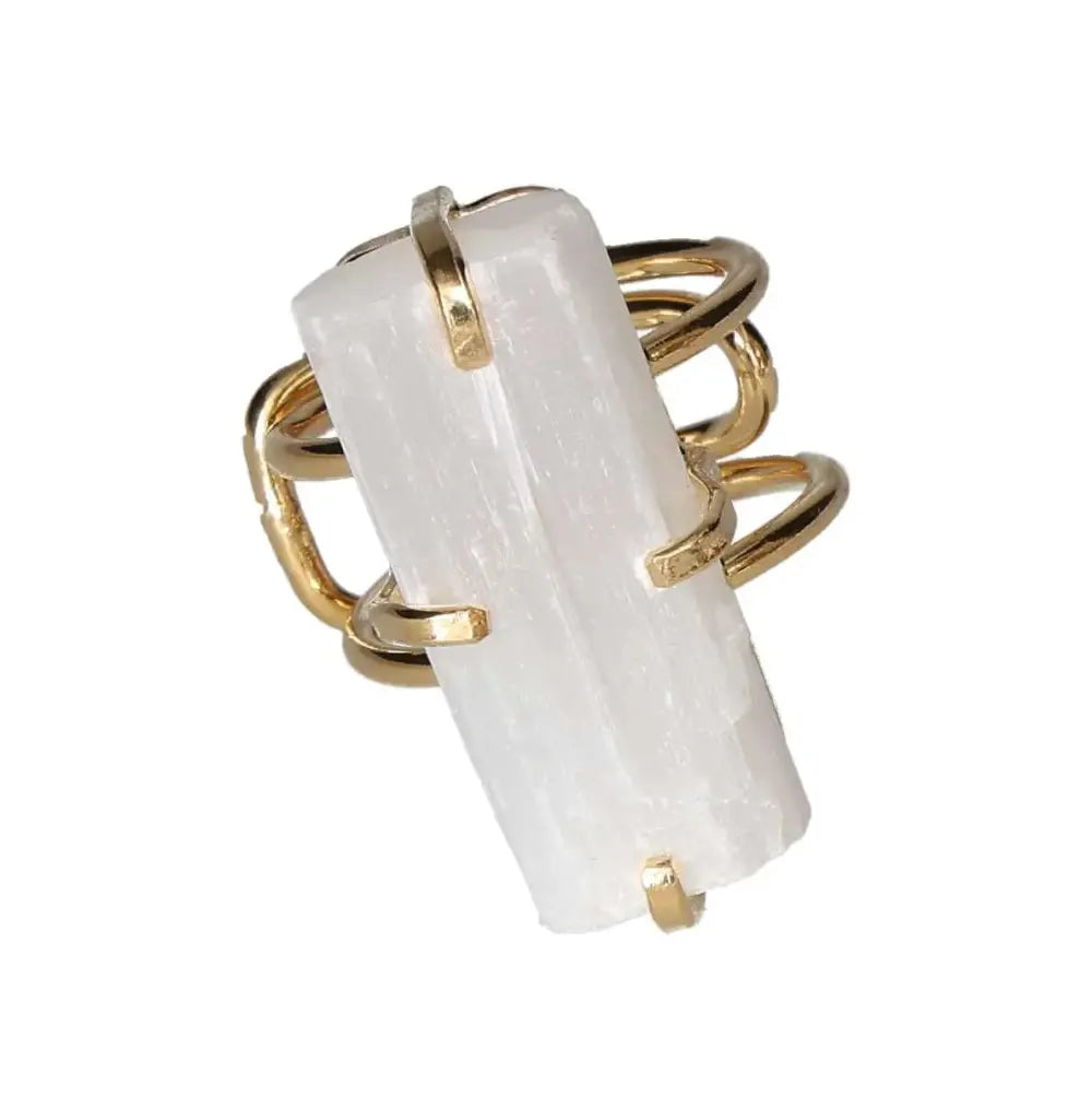 orbitvu|type:image2d