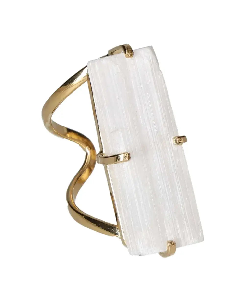 orbitvu|type:image2d