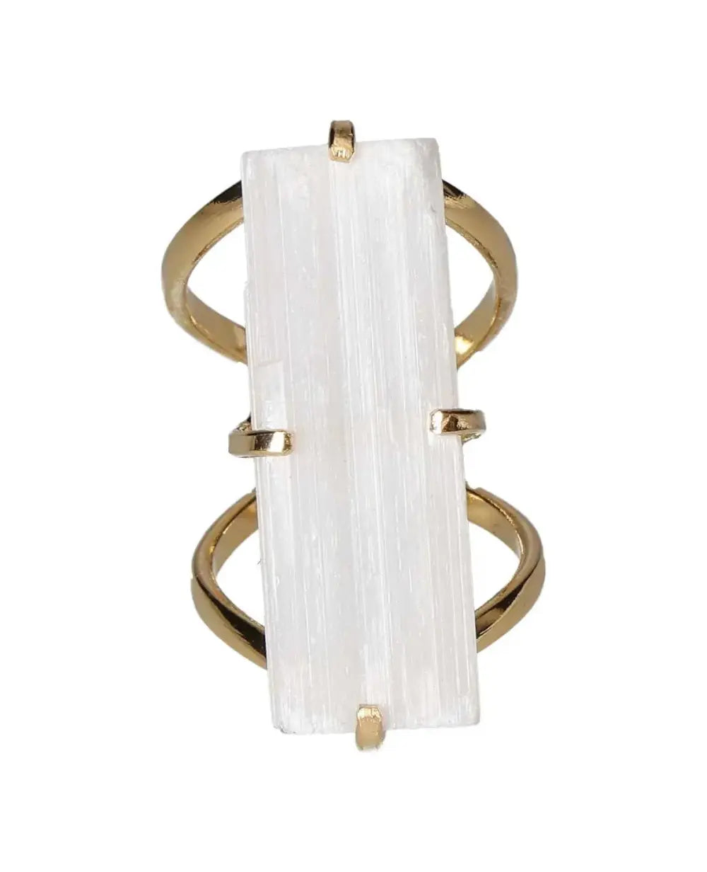 orbitvu|type:image2d