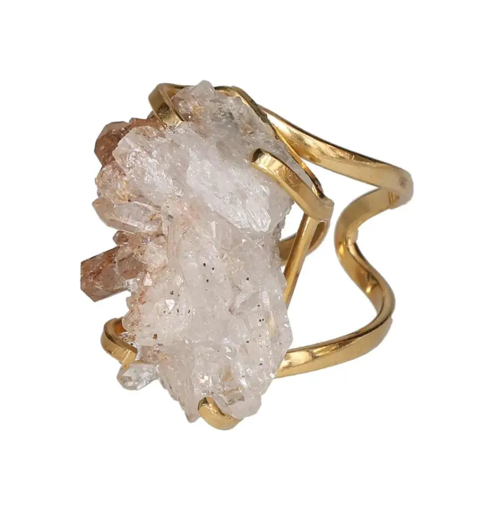 orbitvu|type:image2d