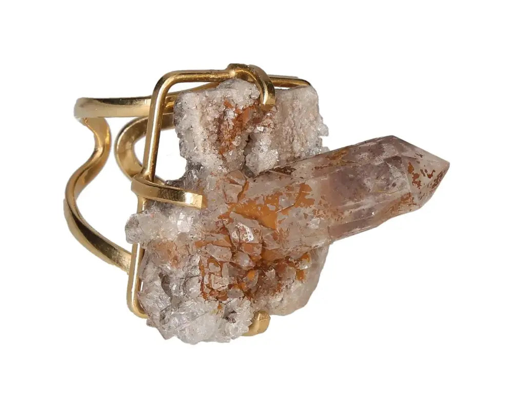 orbitvu|type:image2d