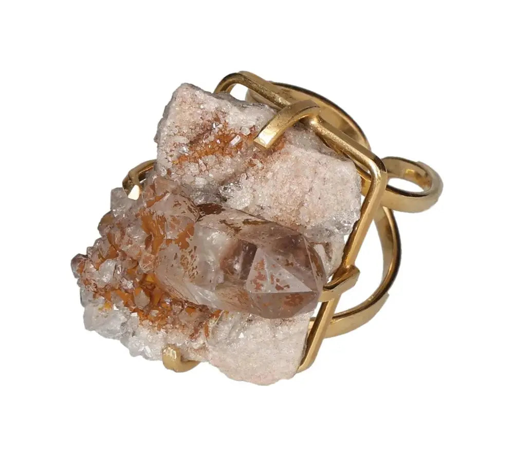 orbitvu|type:image2d