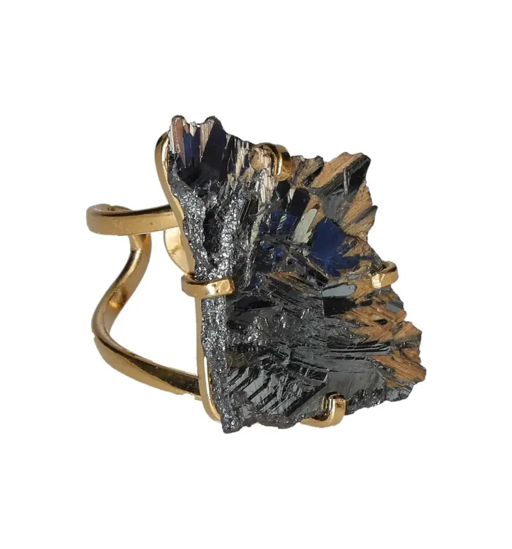 orbitvu|type:image2d