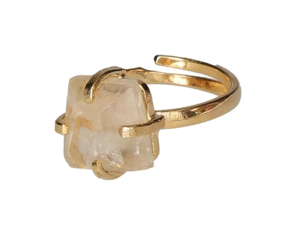 orbitvu|type:image2d