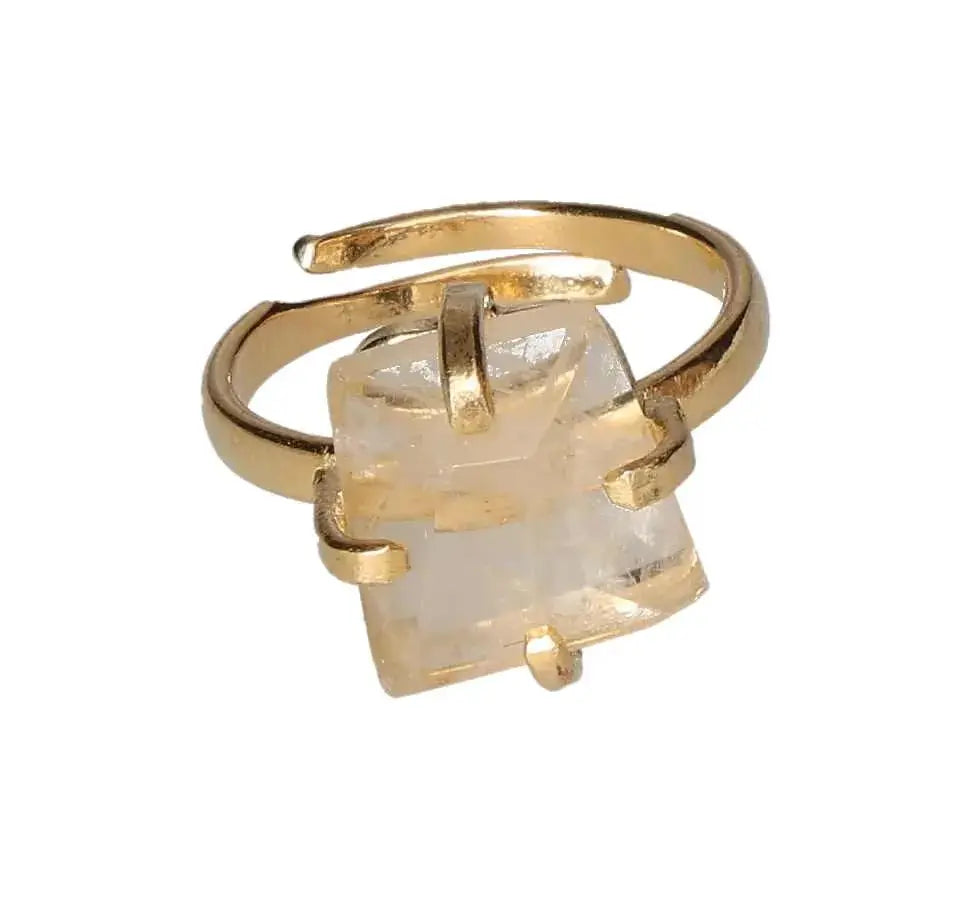 orbitvu|type:image2d