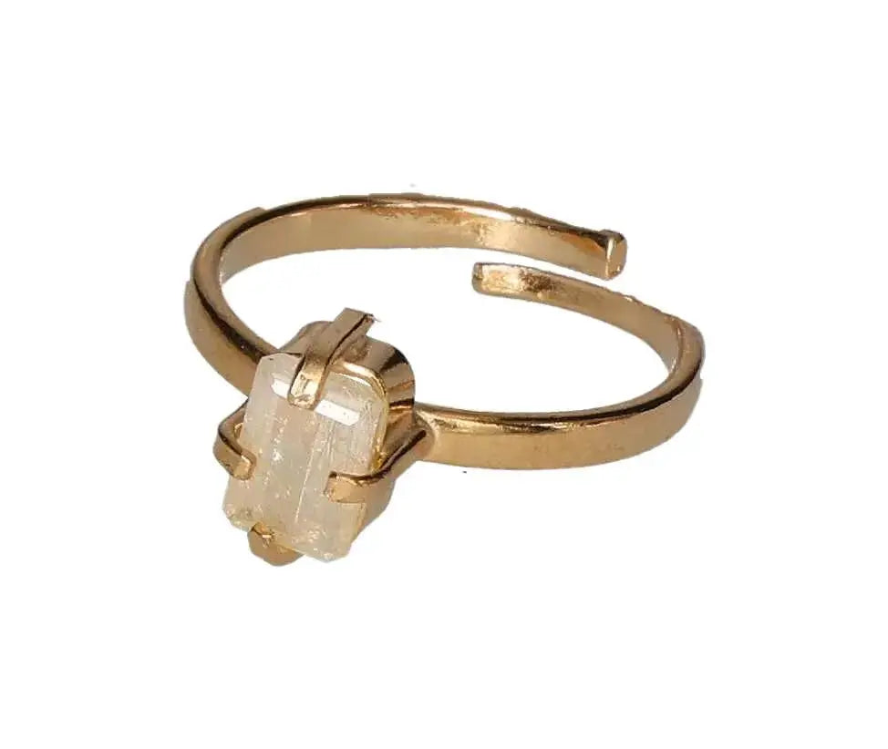 orbitvu|type:image2d