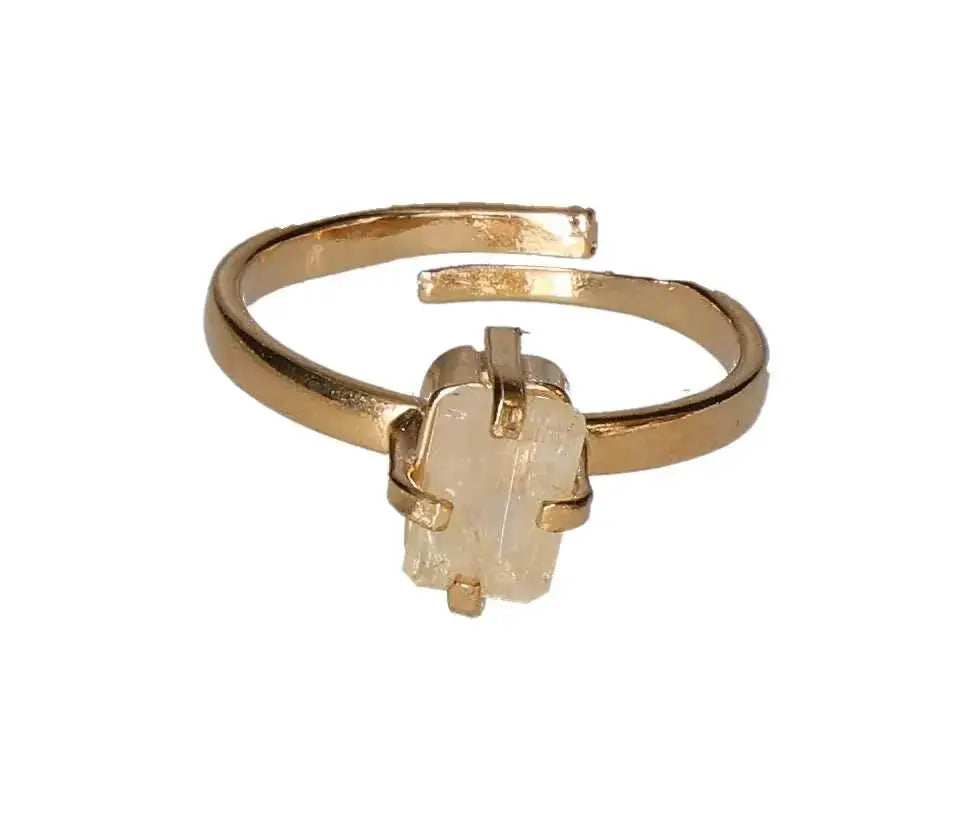 orbitvu|type:image2d