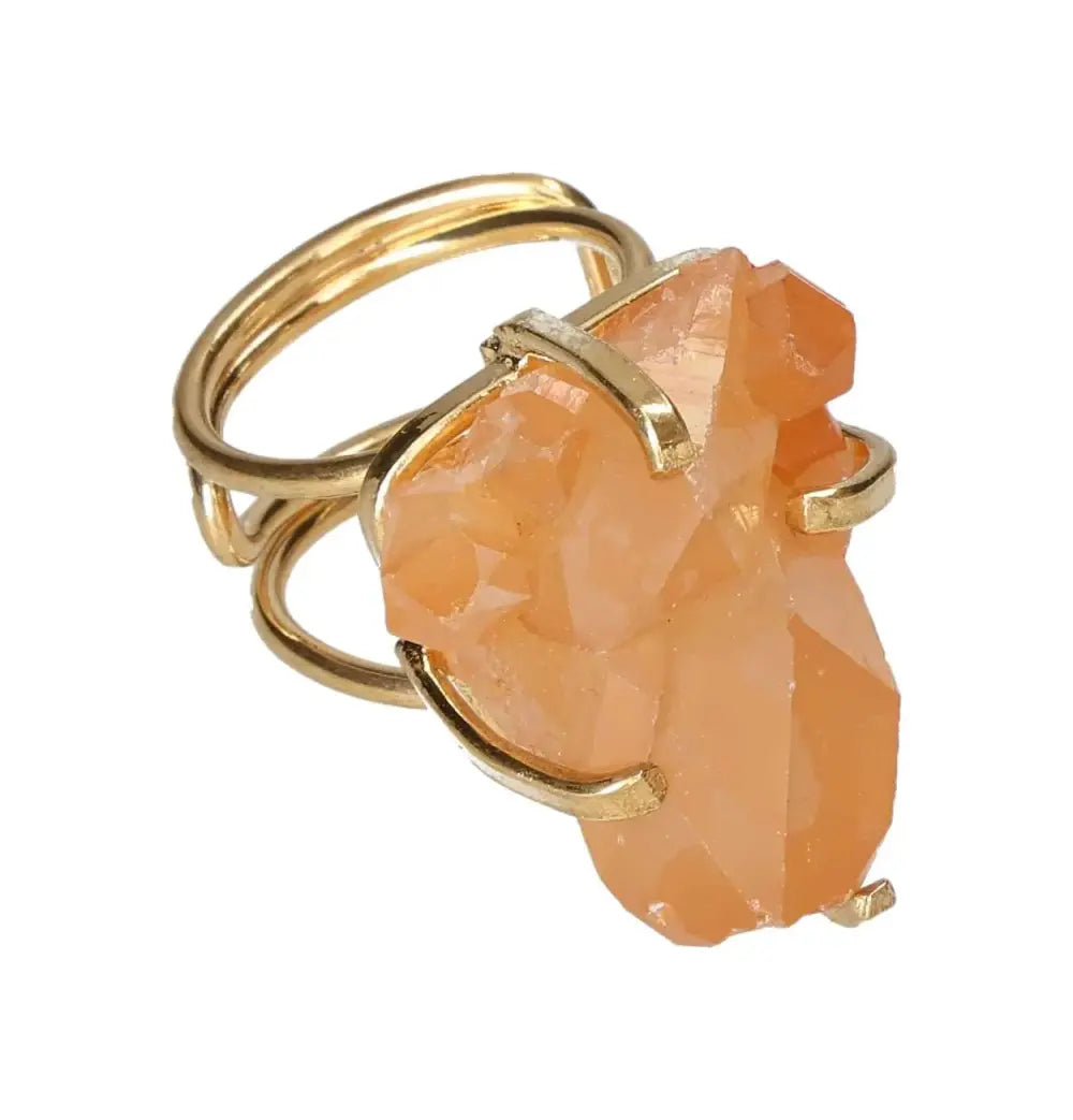 orbitvu|type:image2d