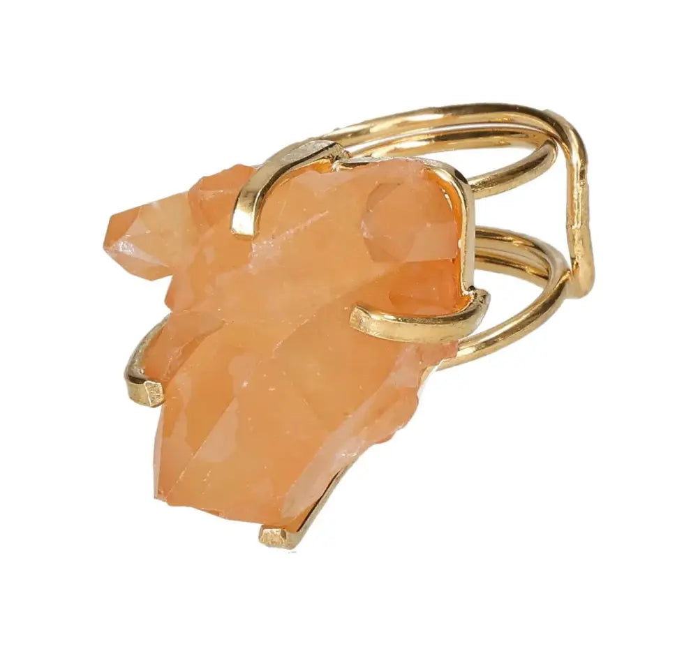 orbitvu|type:image2d