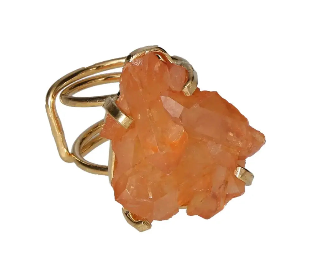 orbitvu|type:image2d