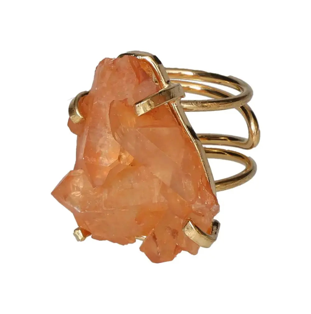 orbitvu|type:image2d