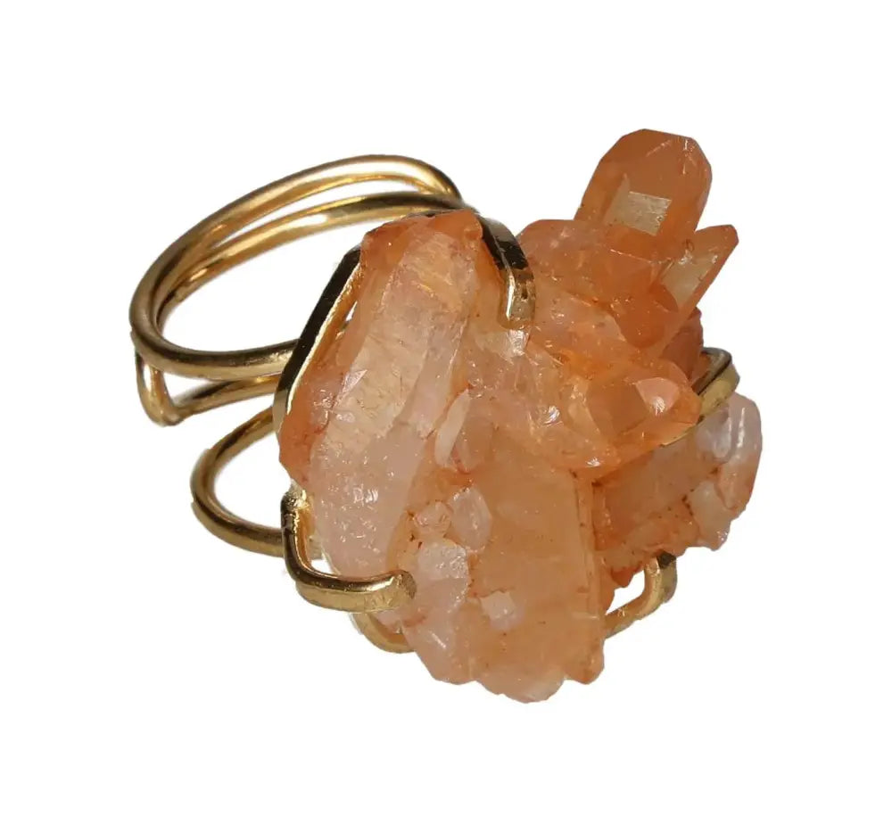 orbitvu|type:image2d