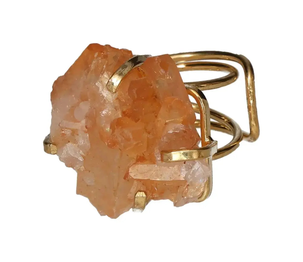 orbitvu|type:image2d