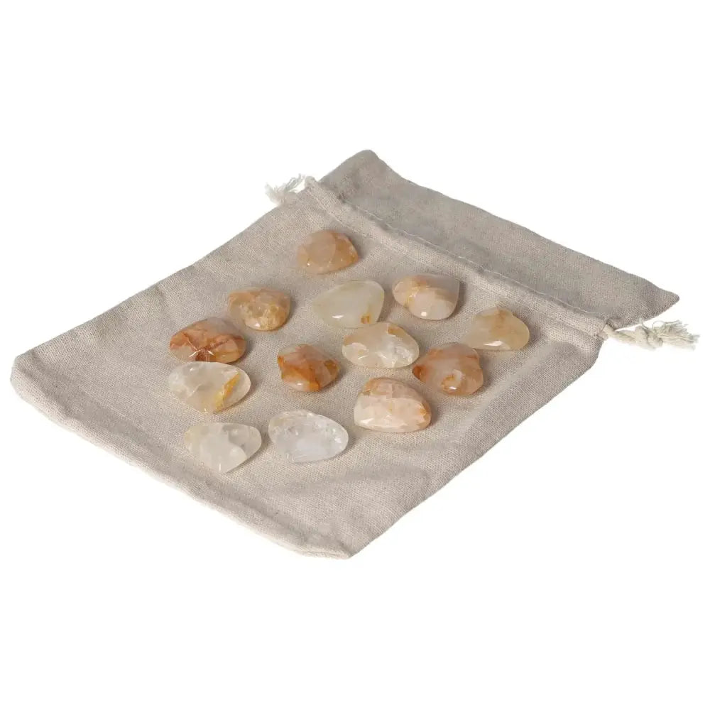 orbitvu|type:image2d